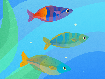 Rainbow Fish aquarium art fish fishtank flat illustration illustrator pisces texture underwater vector water