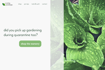 Plant Nursery Landing Page | Daily UI 003 dailyui dailyui 003 dailyuichallenge landing page nursery plants plants app sustainability web