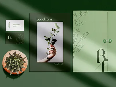 Logo and Branding - Bond Fans botanical botanical logo branding design hi dribbble logo minimalist minimalist logo modern logo visual identity
