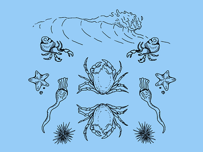 Symmetry of Nature P.3 animal illustration brandidentity branding cannabis branding cannabis packaging illustration label design label packaging ocean ocean life package design sealife