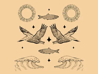 Symmetry of Nature P.4 brandidentity cannabis branding cannabis packaging illustration label design label packaging logo design ocean ocean logo package design pelican procreate sunset