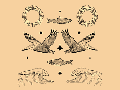 Symmetry of Nature P.4 brandidentity cannabis branding cannabis packaging illustration label design label packaging logo design ocean ocean logo package design pelican procreate sunset