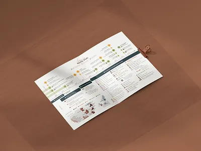 CV Timeline Dataviz branding chart cv data data visualization dataviz design diagram infographic infographics print professional resume signature timeline ui visualization