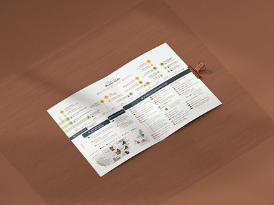 CV Timeline Dataviz branding chart cv data data visualization dataviz design diagram infographic infographics print professional resume signature timeline ui visualization