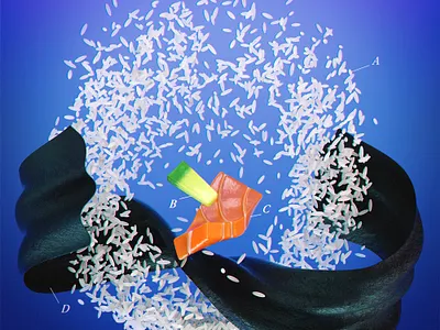 Sushi Corporis Anatome 🍣🥢 3d 3d art advocado art c4d color creative food illustration mograph motion octane rise salmon sushi