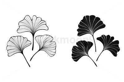 Monochrome Leaves of Ginko Biloba branding design ginko biloba graphic illustration leaves leaves logo logo