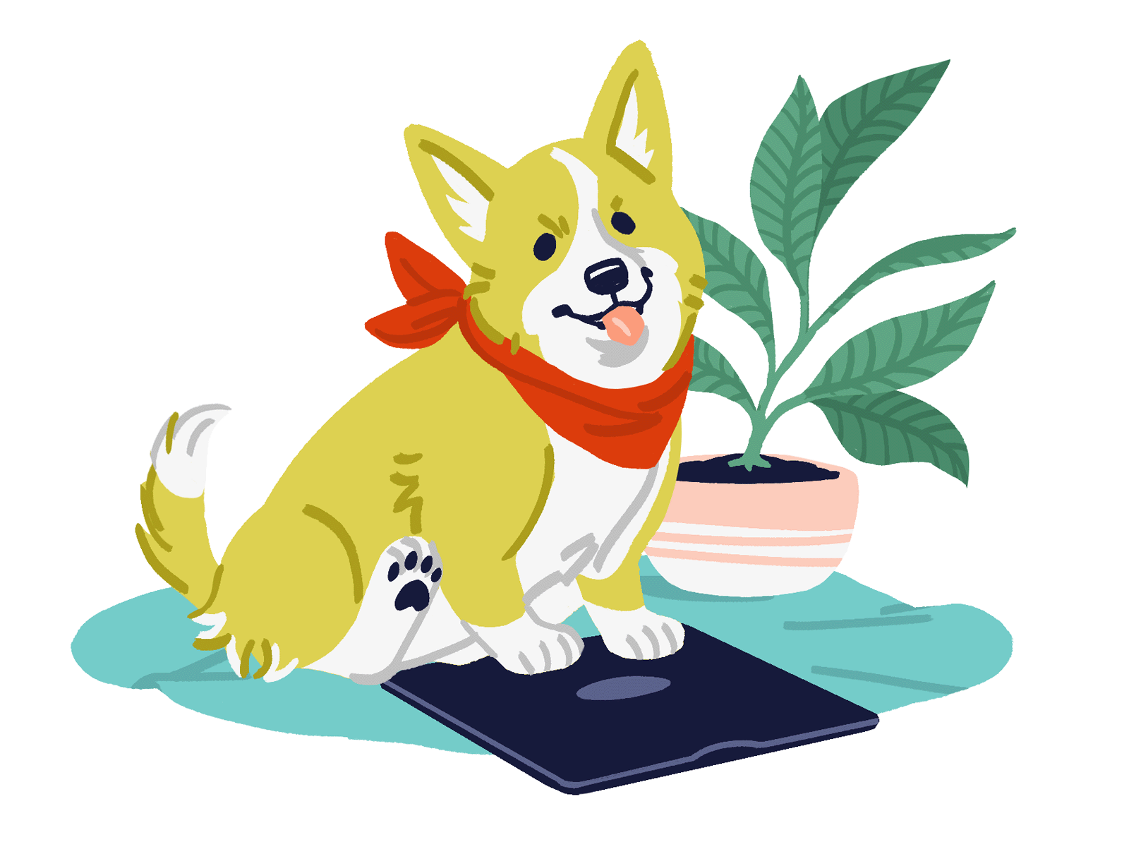 FocusTime Corgi animated corgi animation corgi illustration dog illustration focustime illustration pets rescuetime