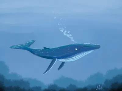 Shadow Blue Whale digital drawing illustration shadowblue