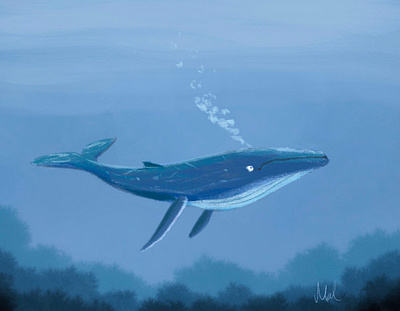 Shadow Blue Whale digital drawing illustration shadowblue