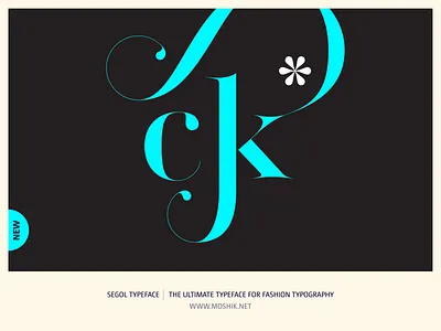 Segol Typeface - The Ultimate Typeface For Fashion Typography buy fonts ck ligature fashion logos