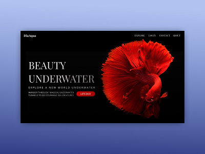 DiaAqua - Landing Page aqua aquarium diaaqua fish landingpage red ui uiux ux water web webdesign webdesign ui ux design webdevelopment website