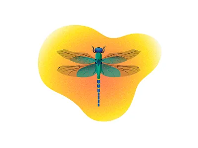 Dragonfly illustration illustration