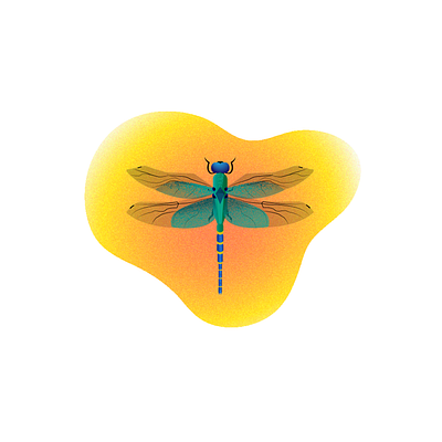 Dragonfly illustration illustration