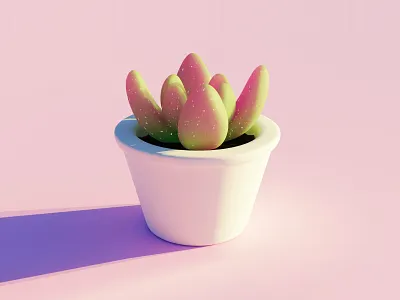 3D succulent plant 3d blender blender3d design illustration minimal