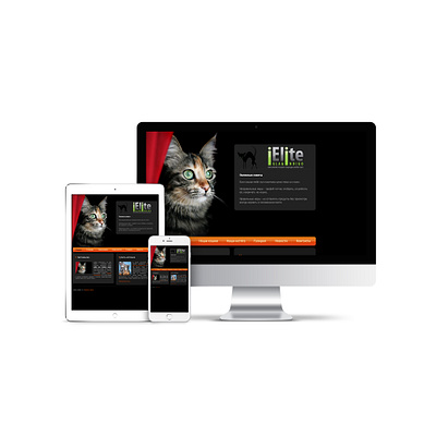 Site ielite branding cat design dev devident illustration illustrator photoshop site ui ux web webdesign website xd