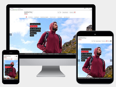 Webdesign Norvital 2015 responsive web design