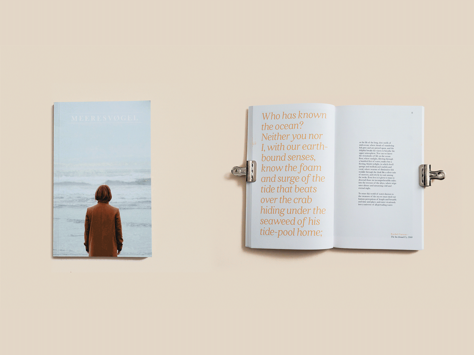 Meeresvøgel Volume III 206artists design femaleartists femalefeatures indesign layout losangeles meeresvogel photography print seattle