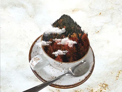 Fall/Coffee Photo Manipulation art design manipulation photoshop