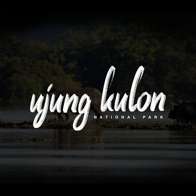 Ujung Kulon National Park. Handlettering brand design brand identity branding clean design elegant illustration lettering logo logo design logo ideas logo inspirations logotype typography