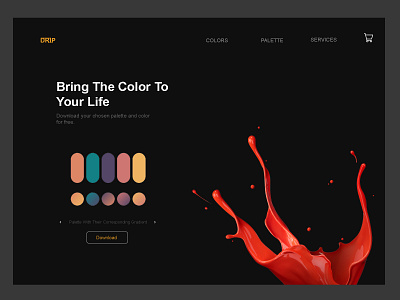 Drip design ui web website