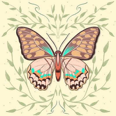 Butterfly Symmetry butterfly butterfly illustration digital art graphic design illustration leaves nature pastel colors procreate procreateart vector