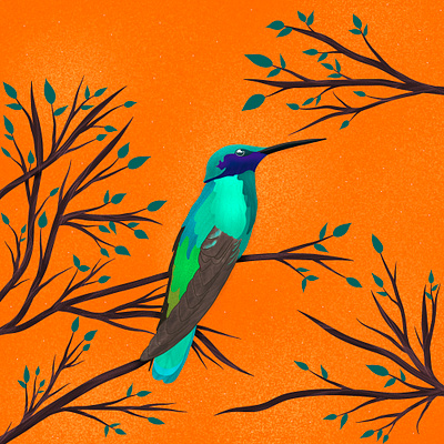 Hummingbird colorful digital art graphic design humming bird illustration leaves nature procreate vector