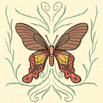 Butterfly Symmetry butterfly butterfly illustration design digital art graphic design illustration leaves nature procreate vector