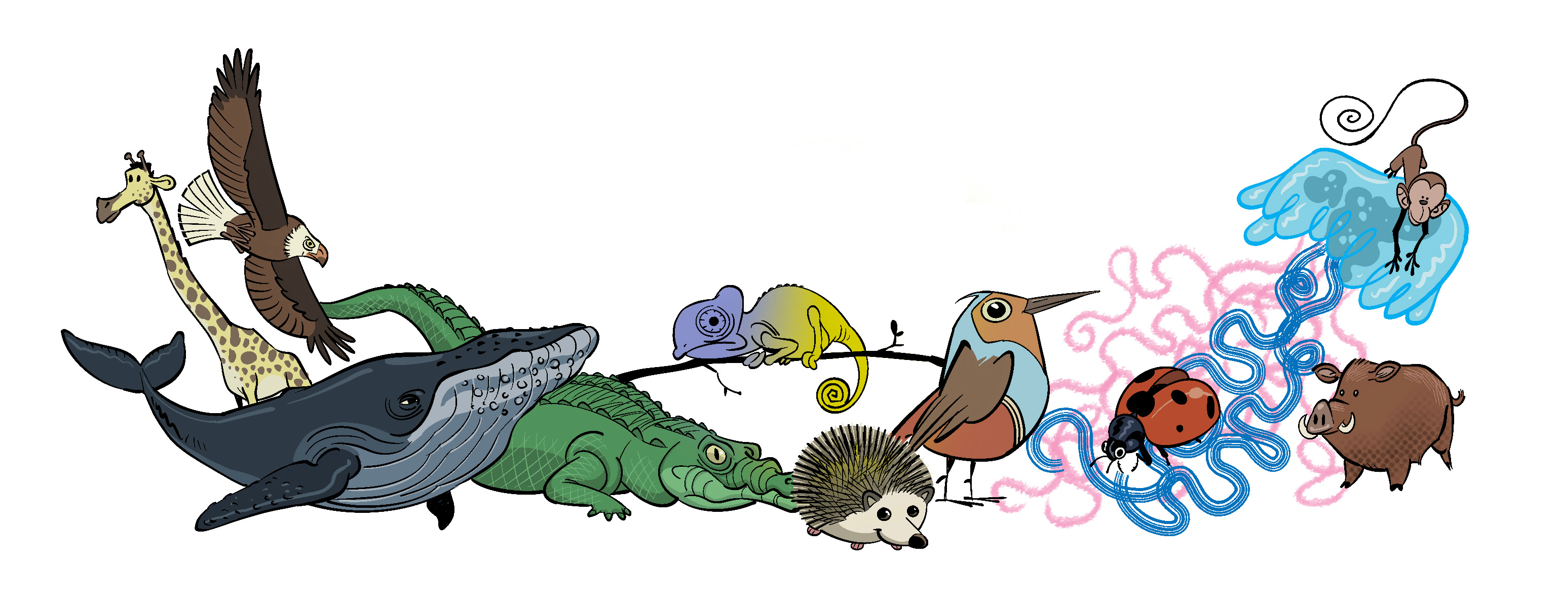 Example of composición con animales 2/2