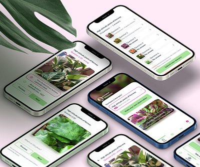 Plant identification app app app design application mobile mobile ui plants plants app ui university user experience ux webapp