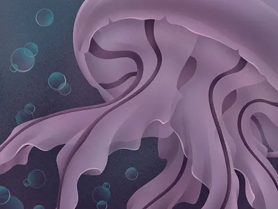 Jellyfish affinity designer art artwork digital digital art digital drawing digital illustration drawing illustration illustration art illustrator jellyfish ocean