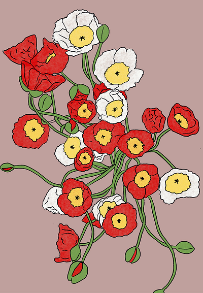 Poppies Illustration design flower illustration flowers illustration procreate