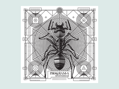 Space Ant black illustration insect lines noblanco postcard