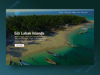 Landing page Gili Labak Island blurred background branding colorful design glassmorphic ilustration island jawa timur landingpage like login page madurai photography nice typography vector view