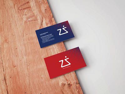 Zkypindo IT company branding company logo design it company it consulting logo