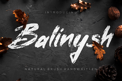 Balinysh Natural Brush Handwritten branding brush calligraphy handwriting handwritten logo quotes script signature typography