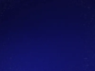 LNB Youtube Intro after effect animation basketball branding design motion sport