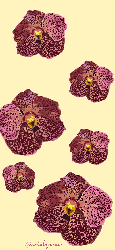 Orquídeas