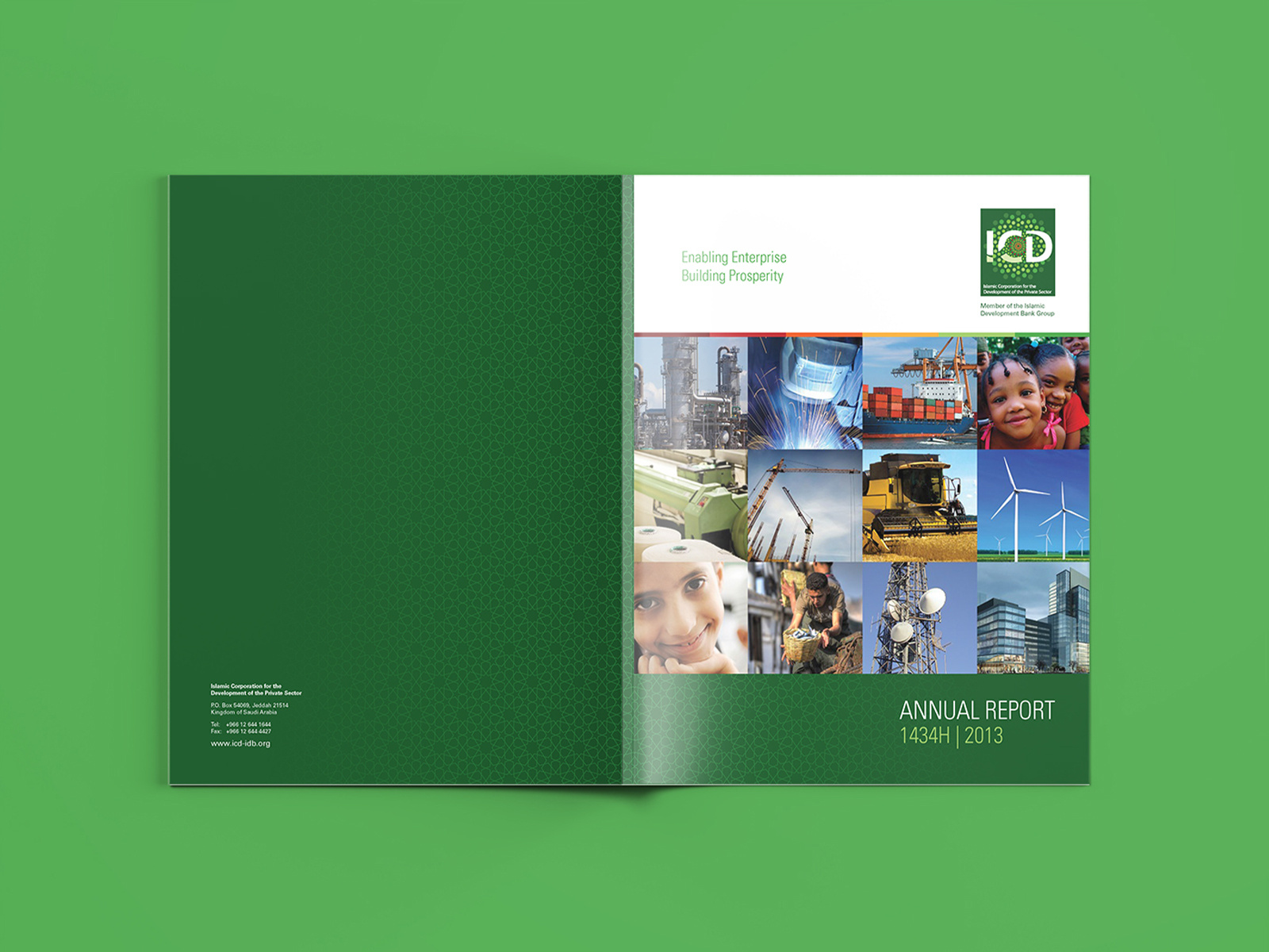 Example of ICD Annual Report 2014