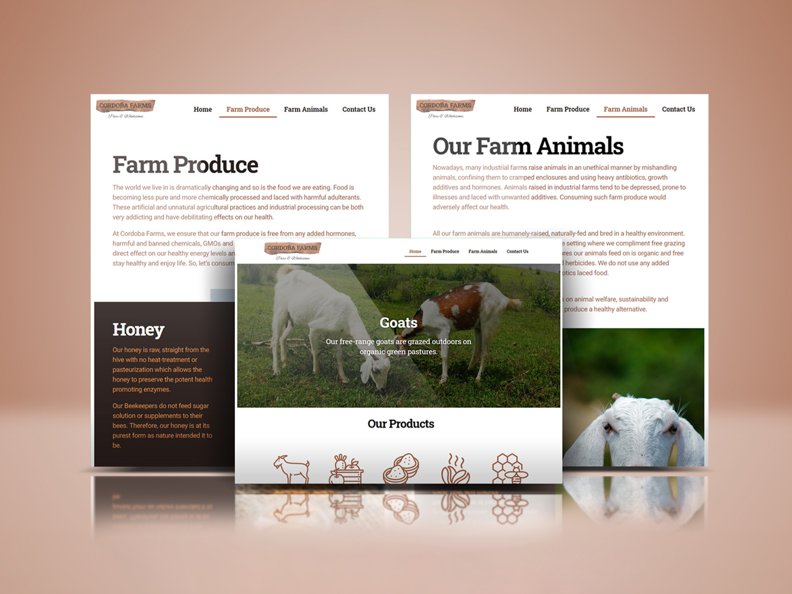 Example of Cordoba Farms website