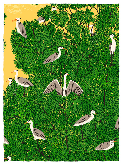 Heron Island Border design drawing editorial illustration heron illustration illustrator nature print wildlife