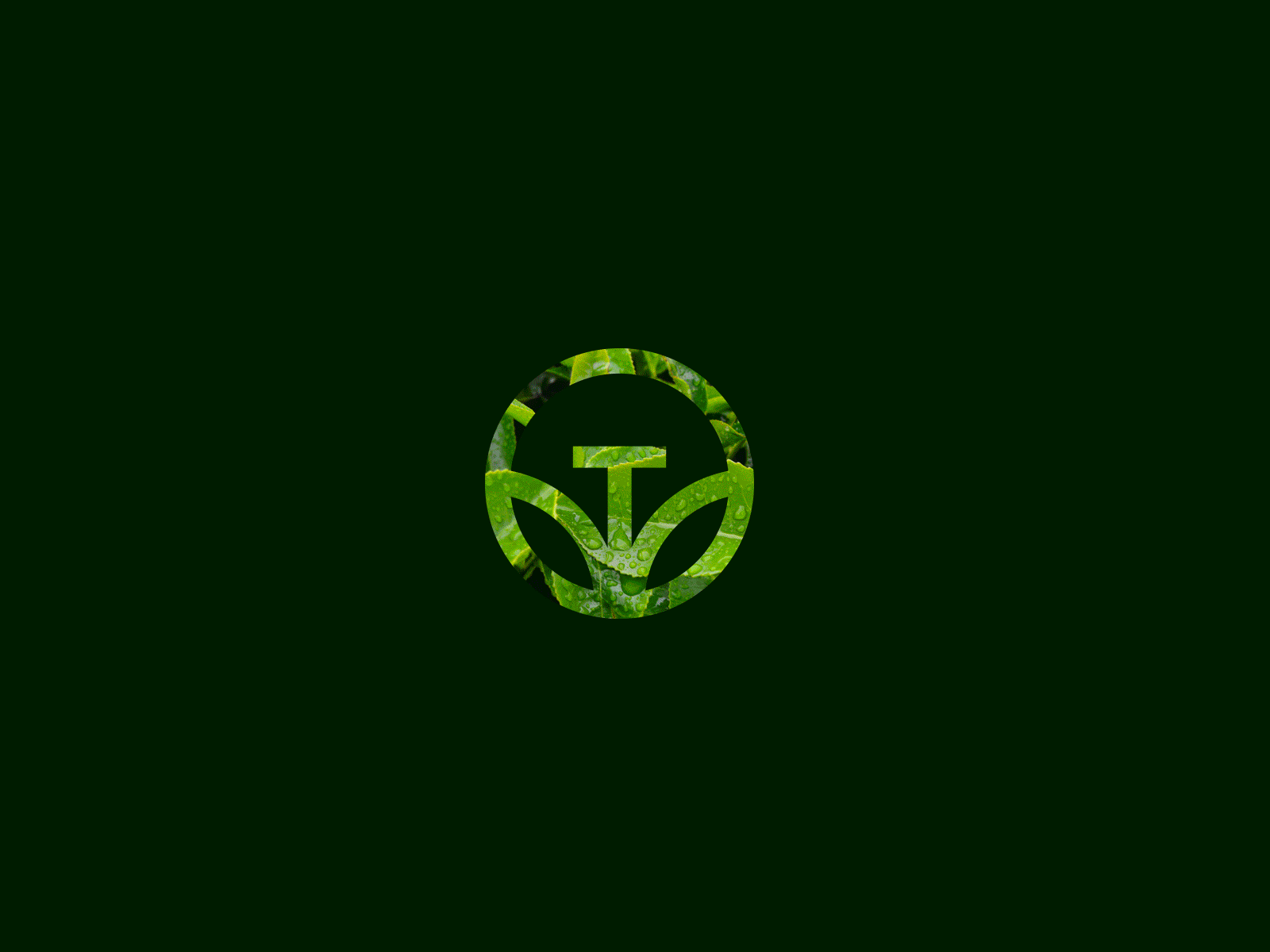 Example of Logo Application