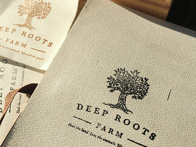 Deep Roots Farm Logo branding and identity farm farming illustration logo logo art logo artist logo design typography