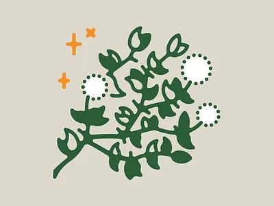 Creosote Branch creosote desert flat illustration minimal plant southwest vector