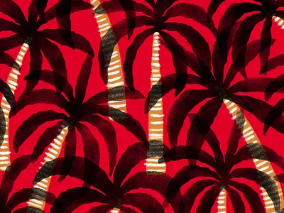 Jungle graphic illustration