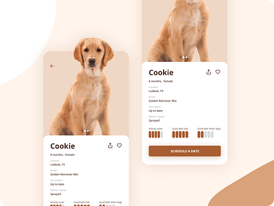 User profile adopt dailyui date profile puppy puppy dog ui userprofile uxui