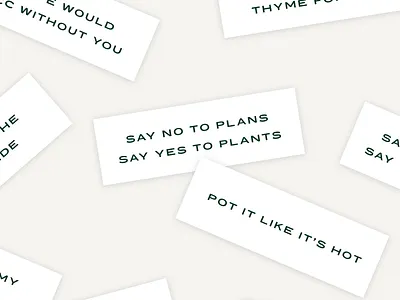 Say no to plans. Say yes to plants branding design fortune plant lady plant pun plants puns succulent type typography