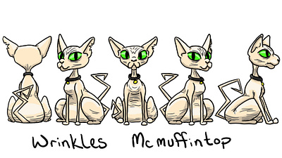 Wrinkles 5 point turn alien animals cartoon cats character illustraion pets sphynx cat