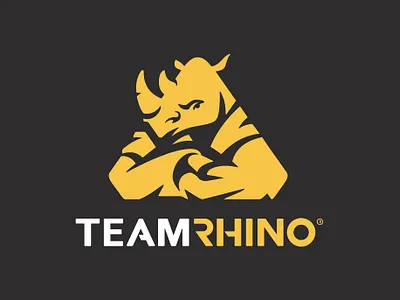 Team Rhino Jiu-Jitsu Logo brand identity jiu jitsu logo logo design logo designer logodesign logotype martial arts