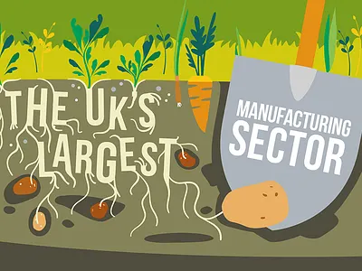 NFU Veg allotment bright carrot earth farm farmer farming food garden gardening illustration illustrator organic potato roots vector vegetables veggie patch veggies