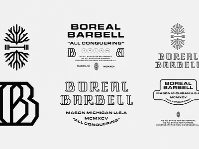 Boreal Barbell barbell brand brand identity branding conquer crossfit design fitness icon illustration logo logo design michigan strength typography usa weight weightlifting